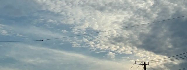 日向夏。さんの壁紙画像