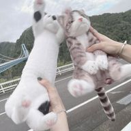 さとにゃん🩷さんのアイコン画像