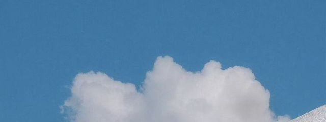 ユキさんの壁紙画像