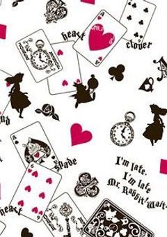 アリスの人生【アルル(カーバンクル)、シグ、ラフィーナ、ユウ&レイ】