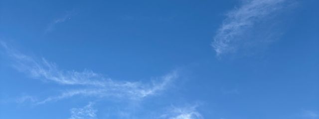 色葉さんの壁紙画像