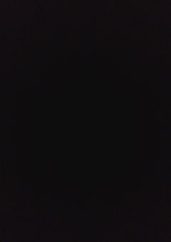 未知なるペットショップ