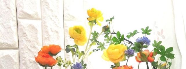 𝓝𝓞𝓐さんの壁紙画像