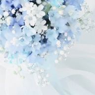 〚　💙🩵　56　.　〛さんのアイコン画像