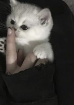 優しい毒の解き方 。