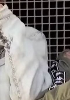 　　　一緒 に 歩いて いこう  ＿