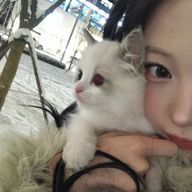 Ⓜ️onさんのアイコン画像