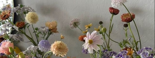 ぷぷなーさんの壁紙画像