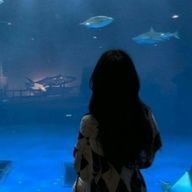 なま💎💞🪄さんのアイコン画像