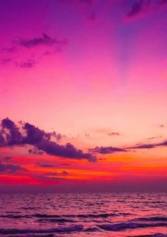 愛されすぎて、🐯