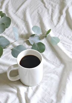 俺は過去に戻ったようです、🐯