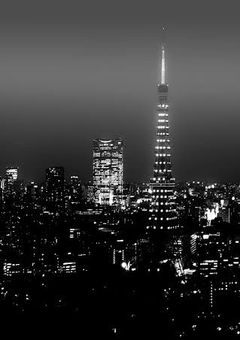 貴方に会いたい、🐰