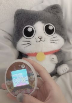 スカイピースやってます。