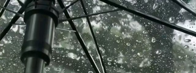 　　蒼逢　　さんの壁紙画像