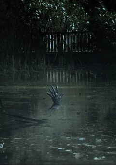 どうも轟家の失敗作です