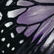 aira ❄️‎🤍さんのアイコン画像