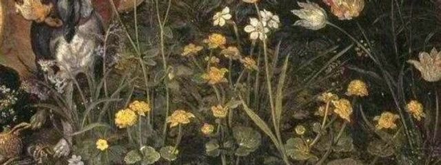 すし子さんの壁紙画像