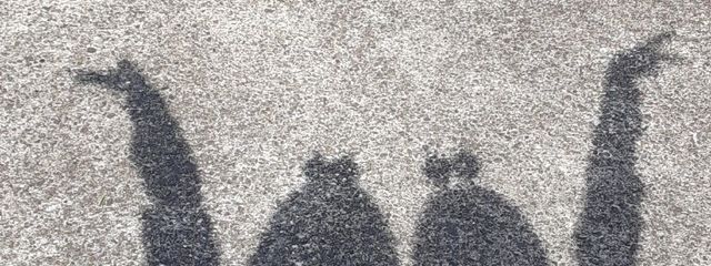 らふさんの壁紙画像