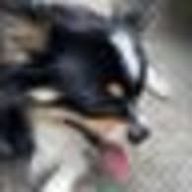 花紺青さんのアイコン画像