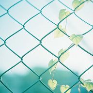 BloomLeaf🍀さんのアイコン画像