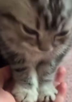 ▫愛が " 무거워도 " 好きでいて▫