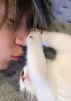 ▫고양이 좋아해요?? ▫