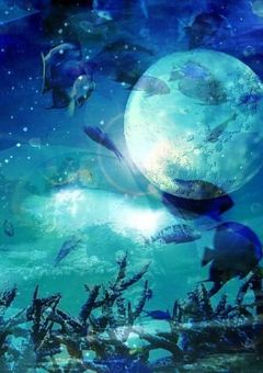 "死の外科医"の右腕であり、『　』