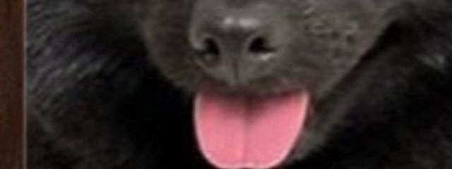 💗ａｈａｎｅ🫶🏻さんの壁紙画像