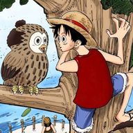 希星さんのアイコン画像