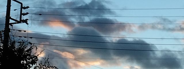 紫音さんの壁紙画像