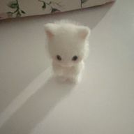 ばさんのアイコン画像
