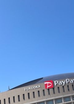 The year of The Doragon【ドラゴンの年】