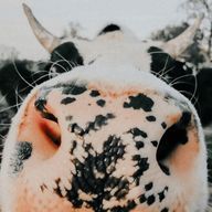 ymさんのアイコン画像