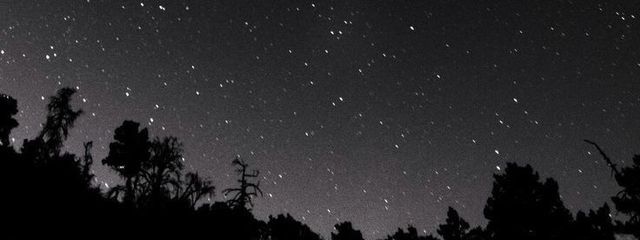 月兎   さんの壁紙画像