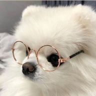 あーさんさんのアイコン画像