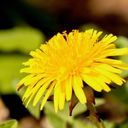 師匠天使@師匠に近付くな