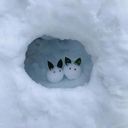 ねむいんともり