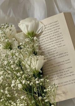 Njs4❥❥生徒会さんの眠り姫