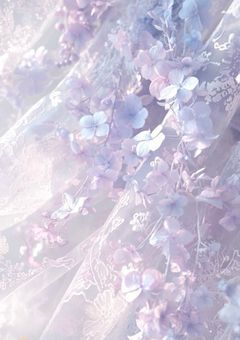 生存する意味を探しに。【2434】