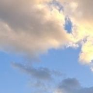 むしりんごさんのアイコン画像