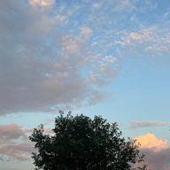 ゆいさんのアイコン画像