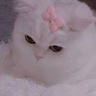 yuukaさんのアイコン画像
