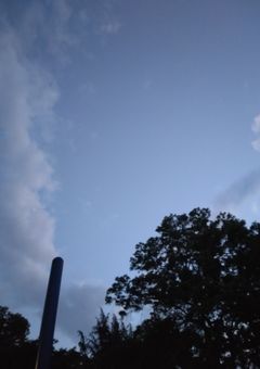 𐙚☁︎写真館 𓂃𓈒𓏸📷´-