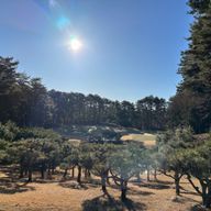 こびとさんのアイコン画像