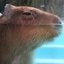 いち(主)の分身