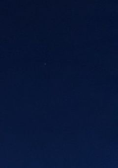 人外だが人間から弱者認定されてる件。