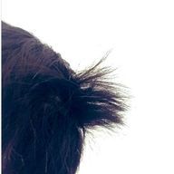 風磨とらっだぁの嫁さんのアイコン画像