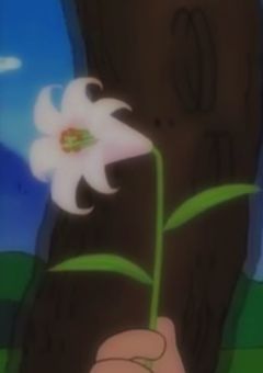 キュートアグレッション（短編集）