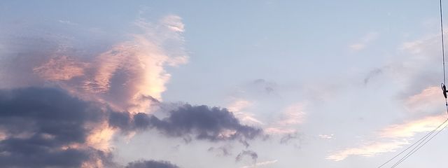 annさんの壁紙画像