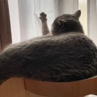 91230さんのアイコン画像